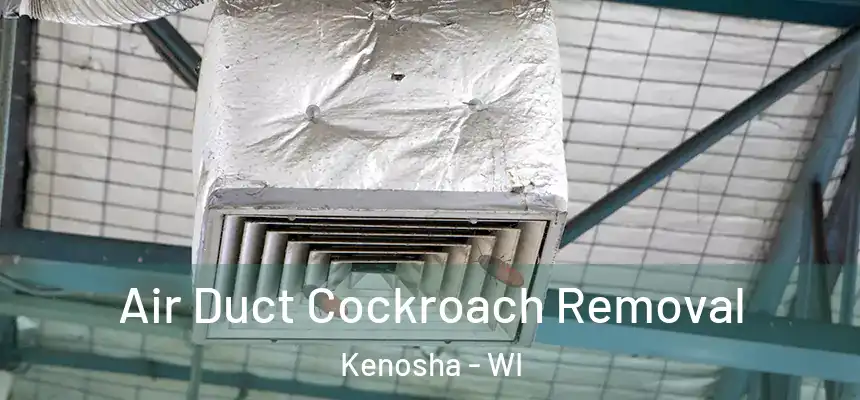  Air Duct Cockroach Removal Kenosha - WI