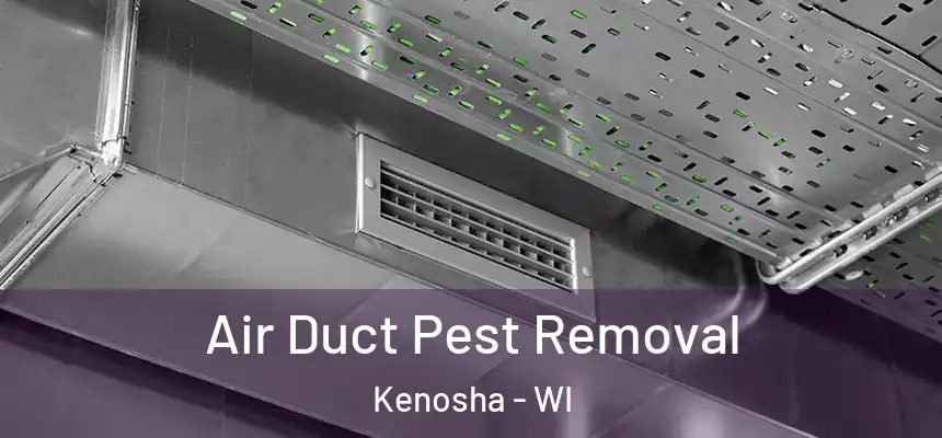  Air Duct Pest Removal Kenosha - WI