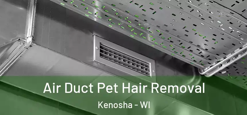  Air Duct Pet Hair Removal Kenosha - WI