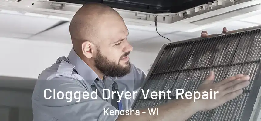 Clogged Dryer Vent Repair Kenosha - WI