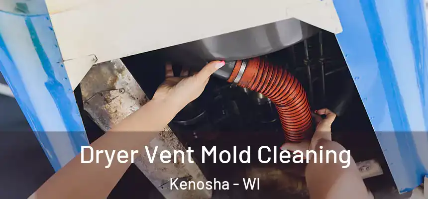  Dryer Vent Mold Cleaning Kenosha - WI