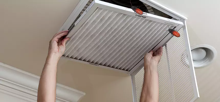 Preventive Cockroach-Proofing for Ducts in Kenosha