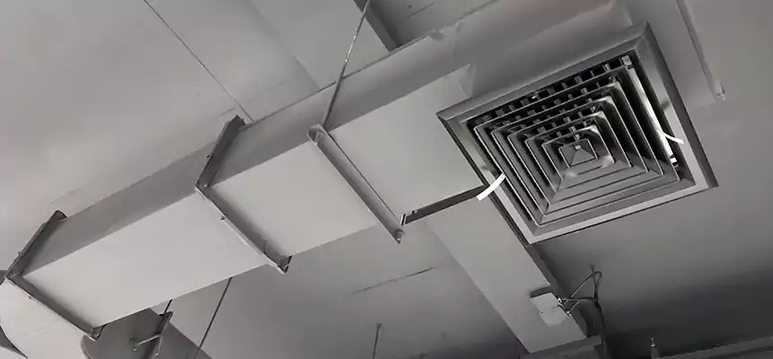 Restorative Allergy Relief Vent Cleaning – Coil, Blower & Housing Detail in Kenosha