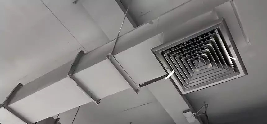 Our Rodent Droppings In Vents Services in Kenosha, WI