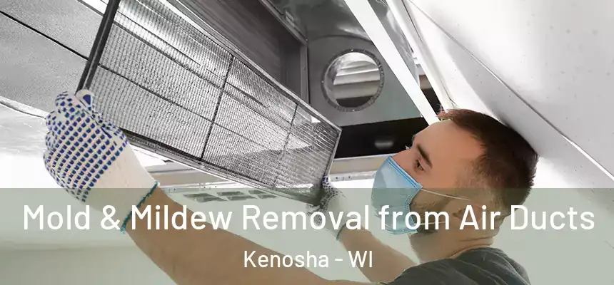 Mold & Mildew Removal from Air Ducts Kenosha - WI
