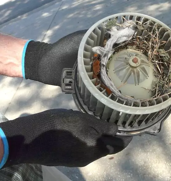 About Air Duct Mice Removal in Kenosha, WI