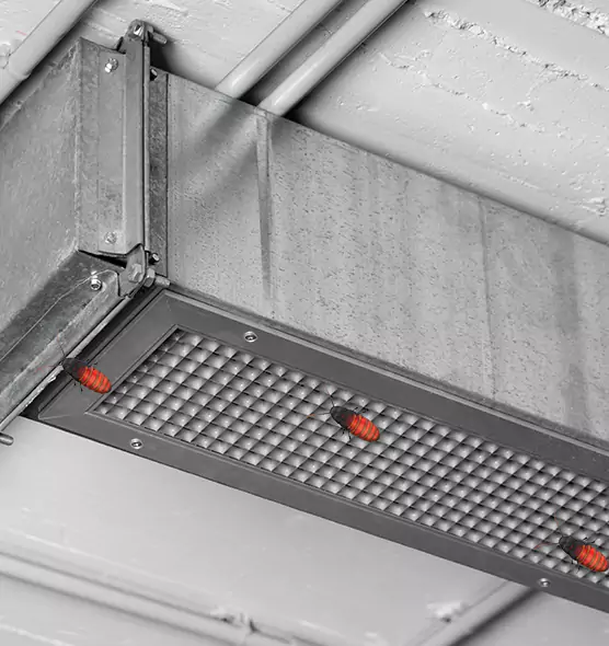 Affordable Insect Removal from Air Ducts in Kenosha, WI