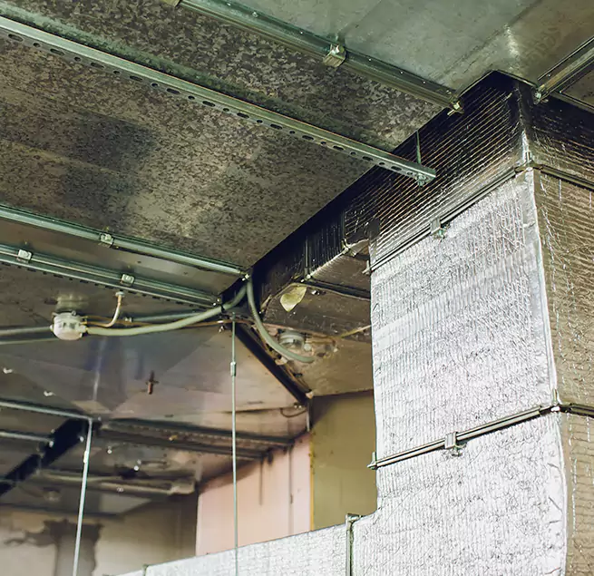 Why Homeowners & Businesses Trust Us in Kenosha, WI?